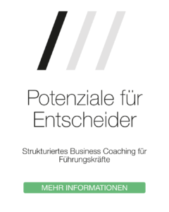 Potenziale für Entscheider. Business Coaching für Führungskräfte. Sebastian Sukstorf. Hamburg