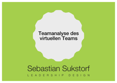 Teamanalyse des virtuellen Teams